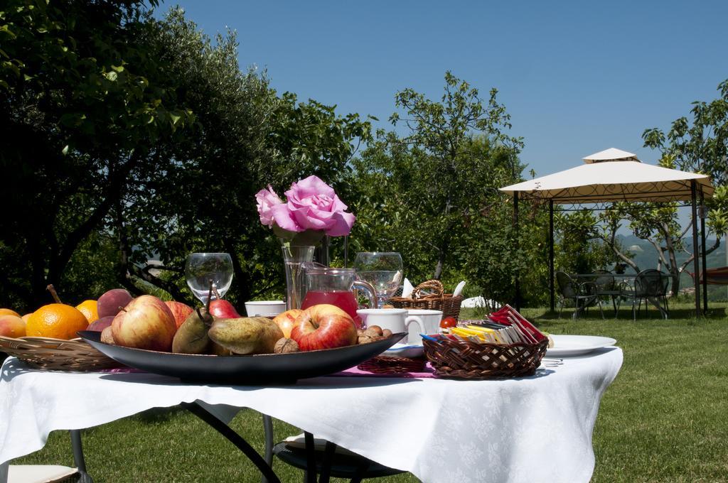 Grazzano Badoglio Cascina Rosa B&B المظهر الخارجي الصورة